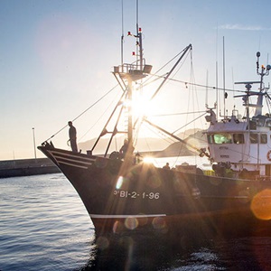 Our reports on progress