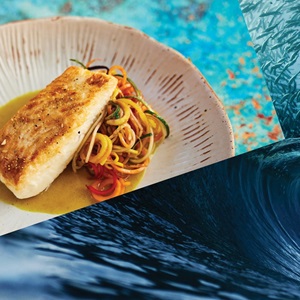 Choose Planet-Friendly Protein