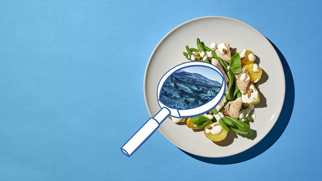 Credible Sustainability Claims Guide