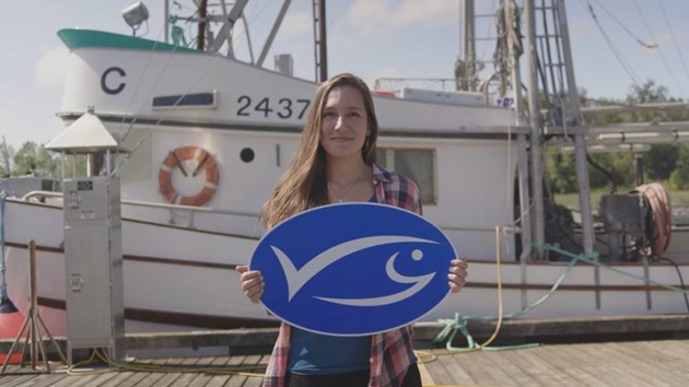 Brand Essentials (Logos & Guidelines)