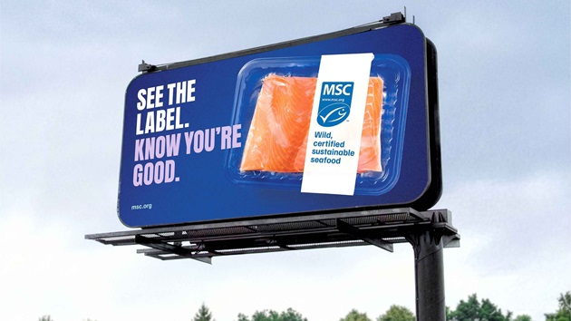 Campaigns & Key Events