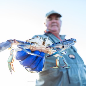 What is Sustainable Fishing?