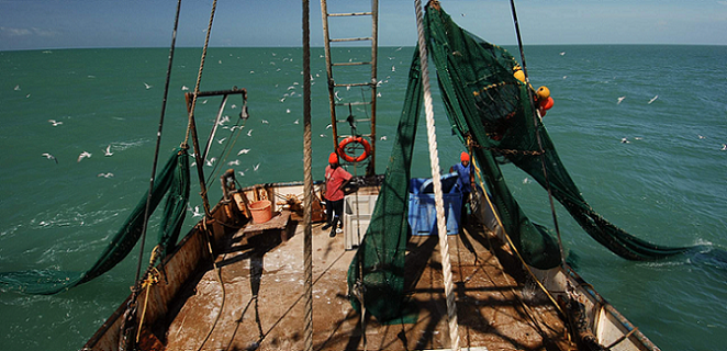 Encouraging Fishery Improvements