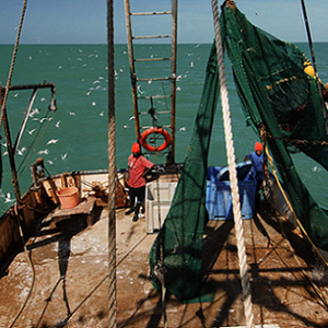 Learn About Sustainable Fishing Gear Types