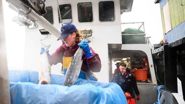 MSC certification may provide