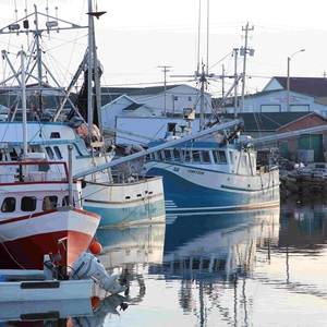 Promote Sustainable Fishing