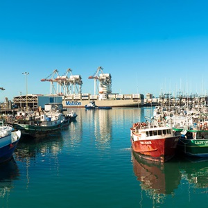 Monitoring & Evaluating Our Impact