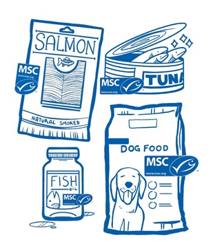 MSC product illustrations Blue line drawing of MSC certified smoked salmon, canned tuna, supplements, and dog food