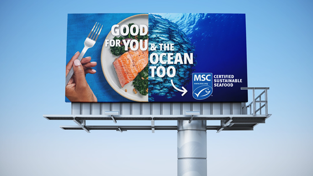 Campaigns & Key Events