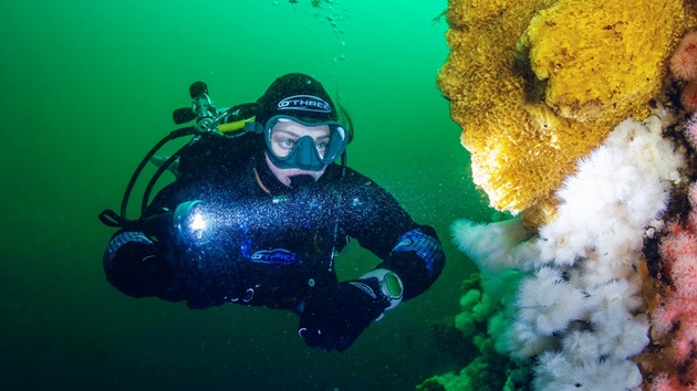 Research Focus Areas