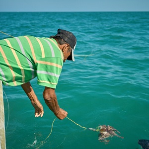 Get Certified - Fisheries